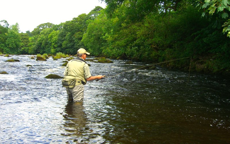 Fly Fishing Tuition - River Wharfe, Drebley